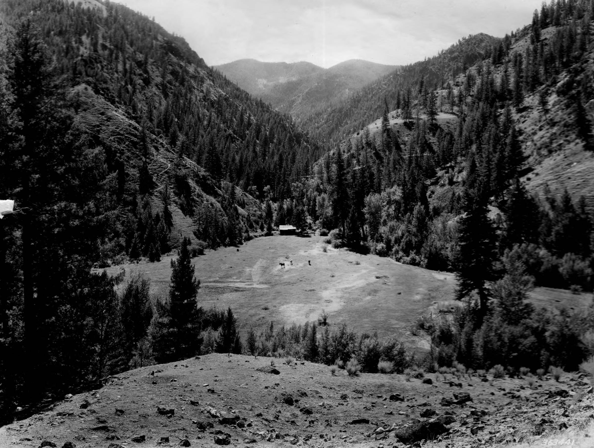The Dave Lewis Ranch, where the Taylor Wilderness Research Station would eventually be established, 1937.