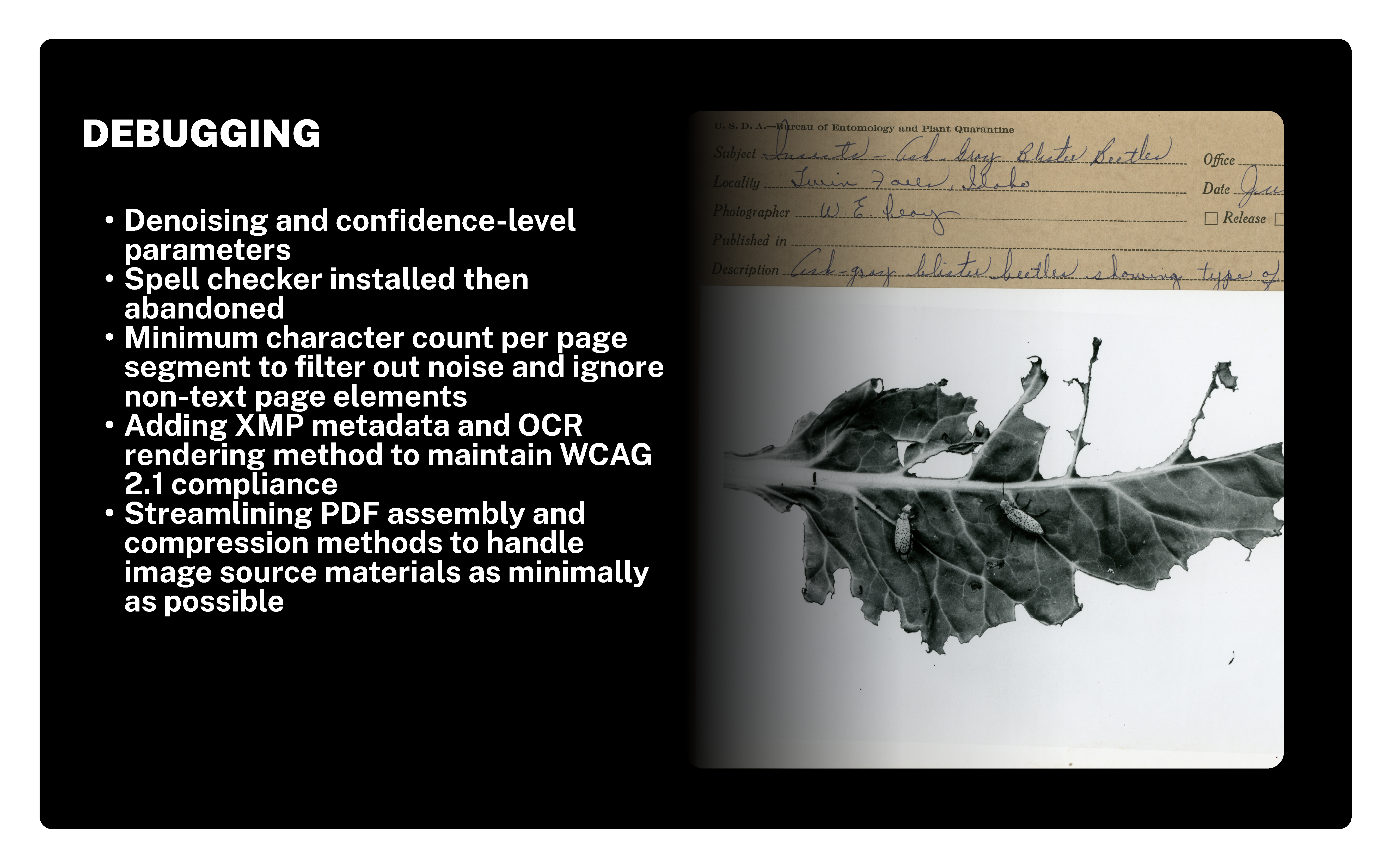 DEBUGGING lists various methods for improving PDF assembly and handling image source materials, including denoising, spell checking, character counting, metadata, OCR, and compression techniques. The document includes handwritten notes and an image of a leaf.