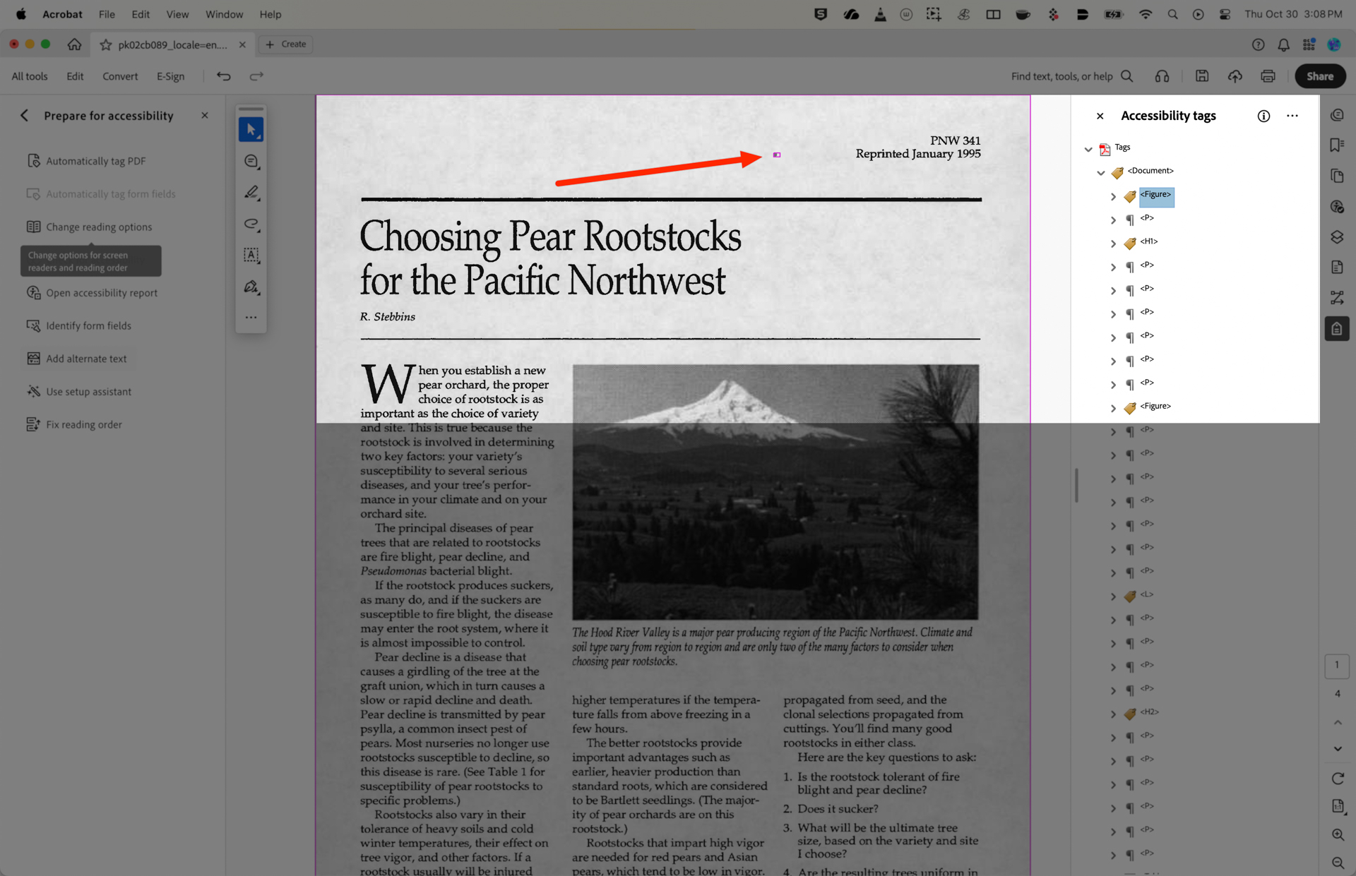 A document titled `Choosing Pear Rootstocks for the Pacific Northwest` by R. Stebbins, reprinted January 1995, with the code PNW 341. The text begins with a discussion on the importance of choosing the right rootstock for a new pear orchard. An image shows a landscape with a mountain in the background. There is a list of key questions to consider when choosing pear rootstocks.