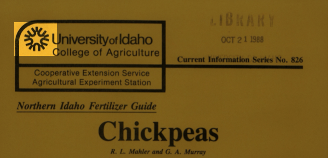 A document about chickpeas with one decorative icon in the top left corner.